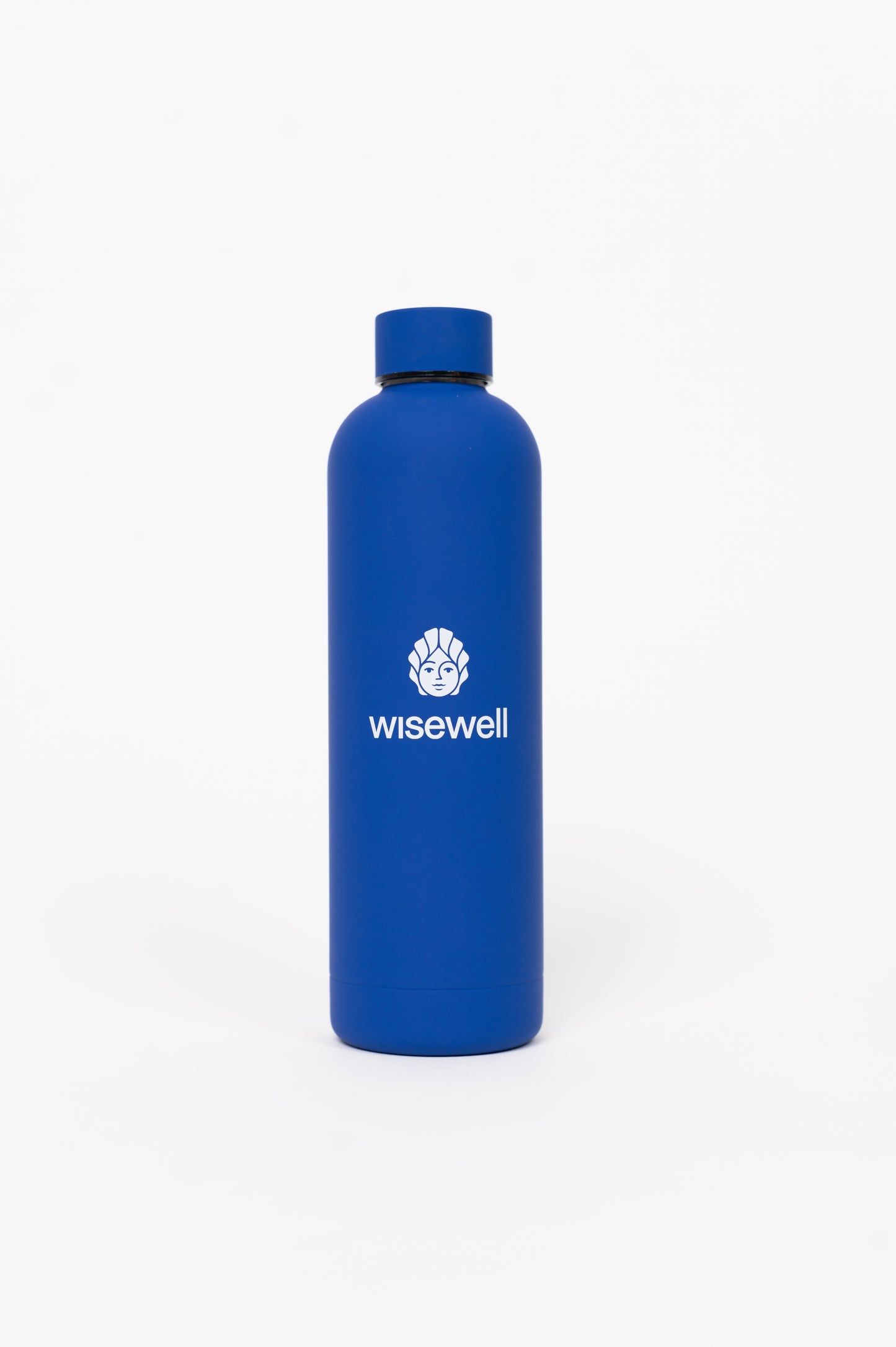 blue  Matte Steel Bottle