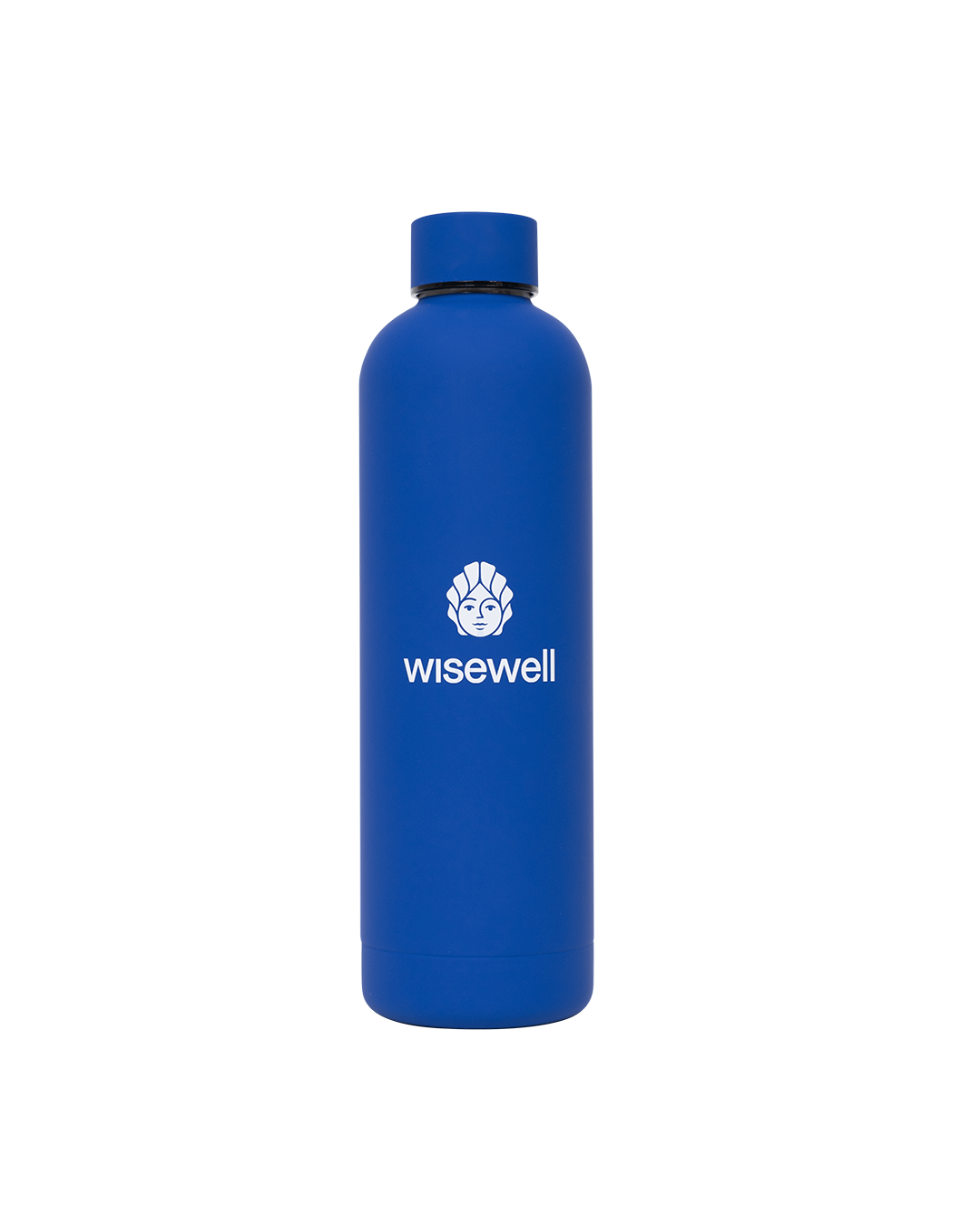 blue  Matte Steel Bottle