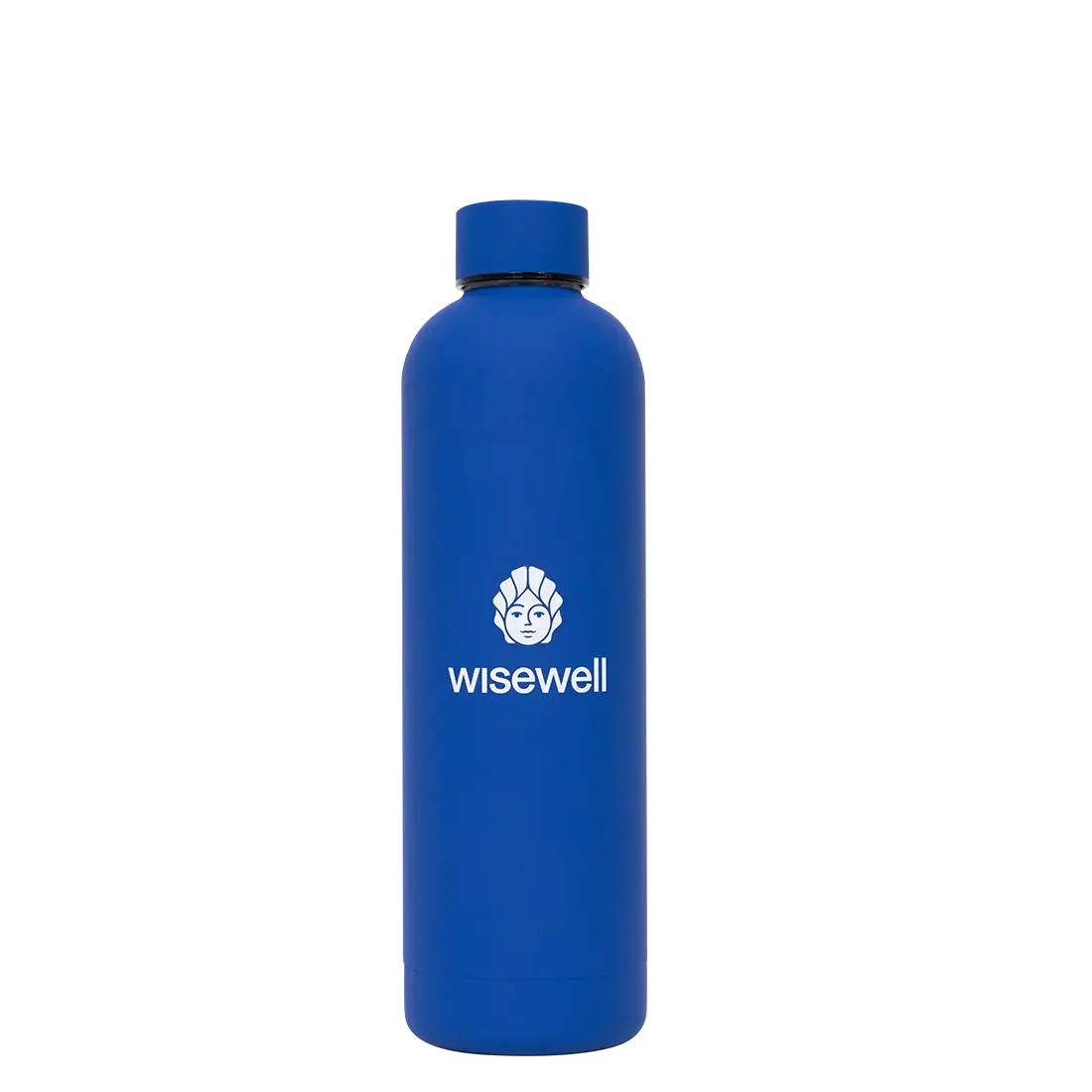 blue  Matte Steel Bottle