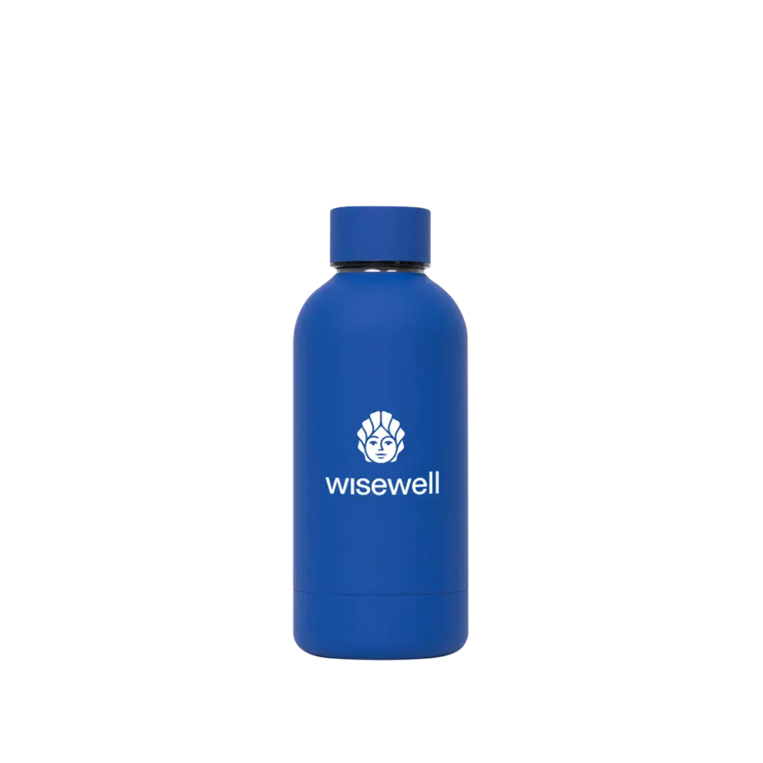 blue  Matte Steel Bottle