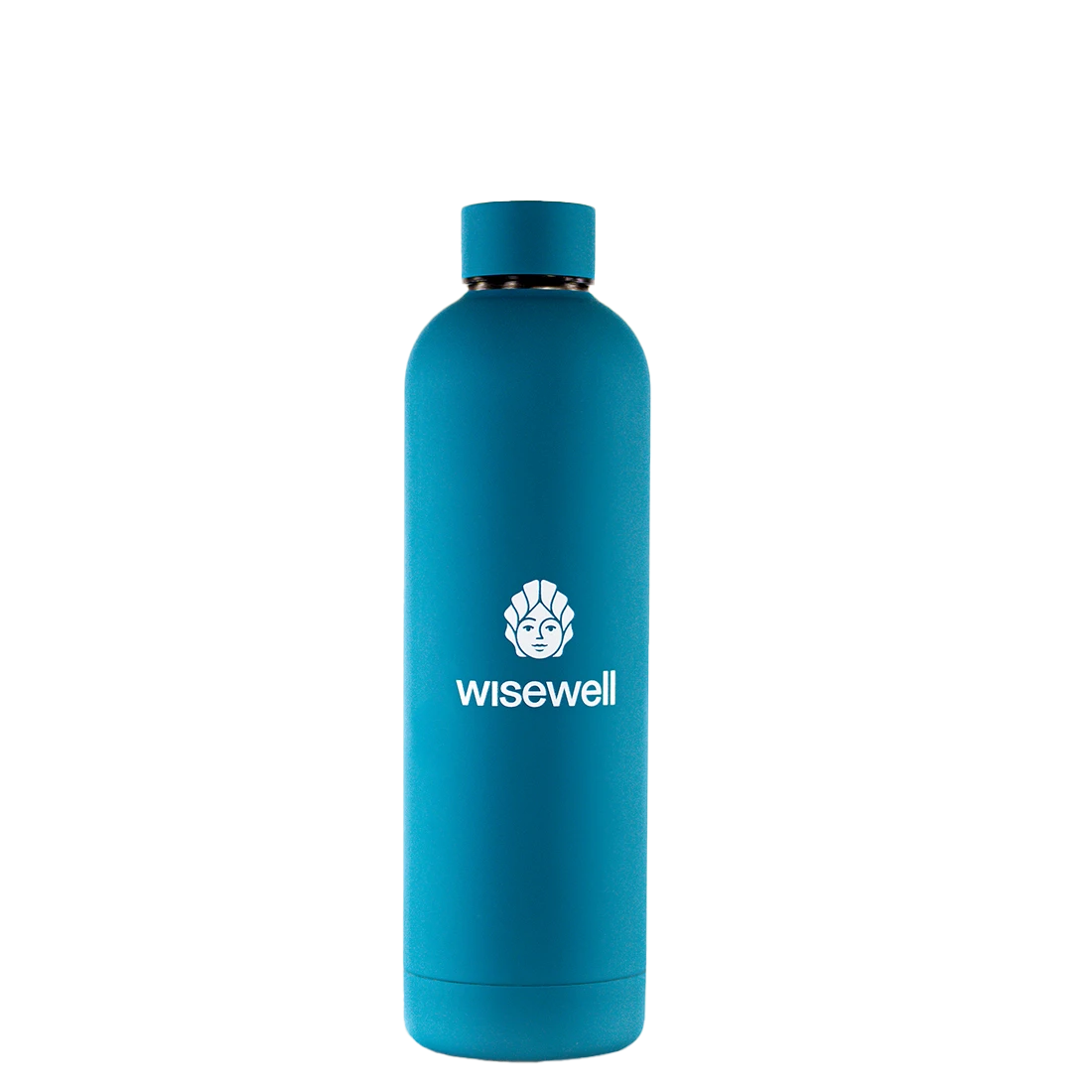 blue  Matte Steel Bottle