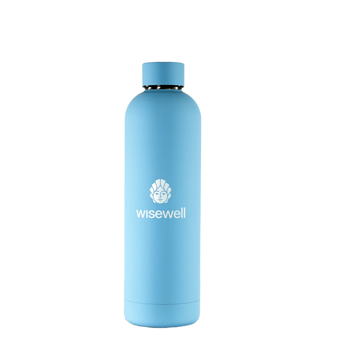 blue  Matte Steel Bottle