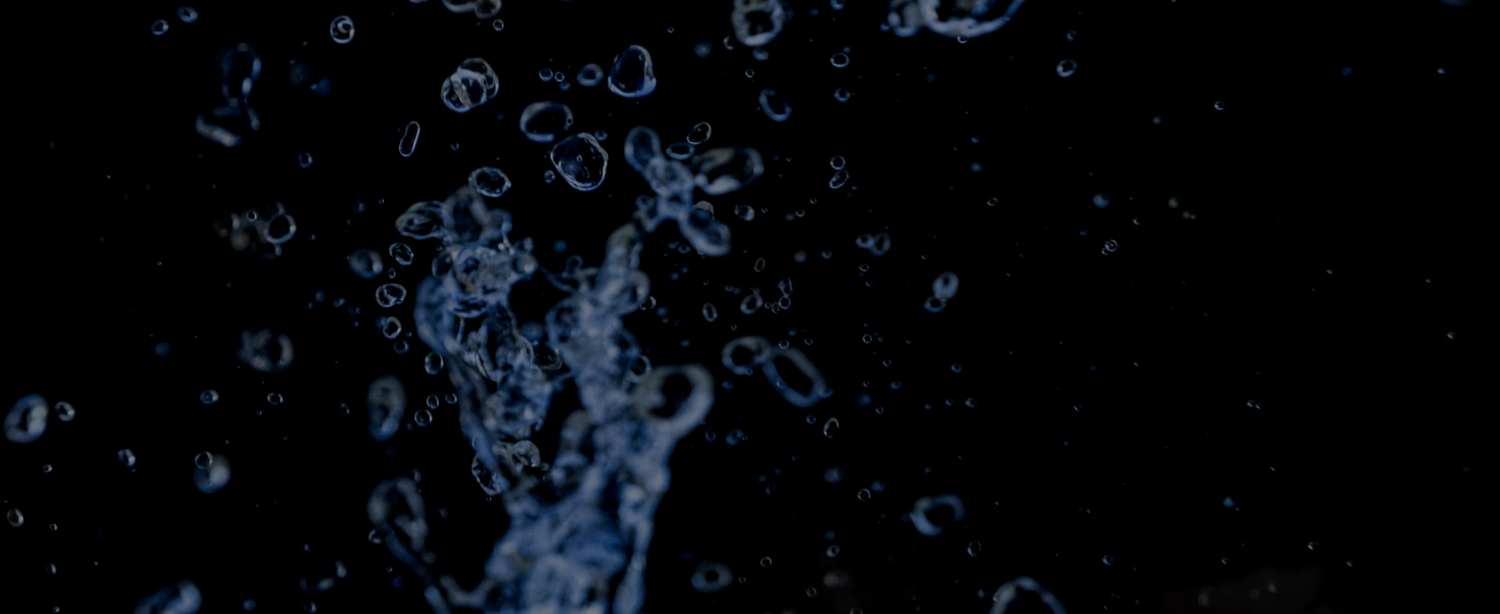 wisewell_sip_banner